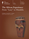 Cover image for The African Experience